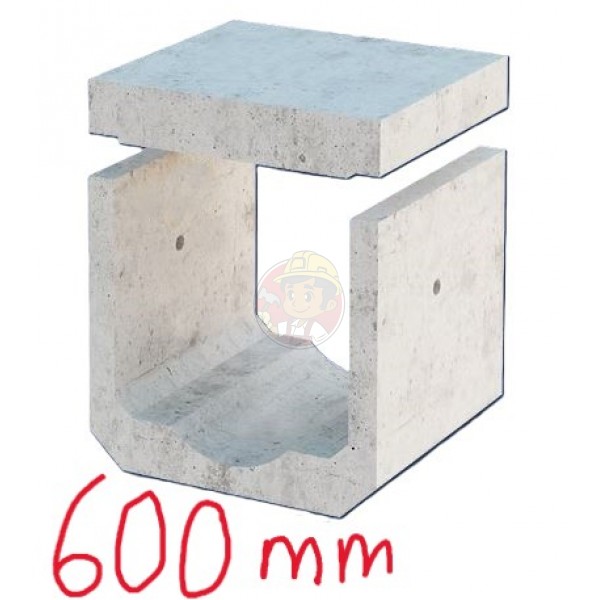 BOX CULVERT 600 X 600 MM (WITH DWF)